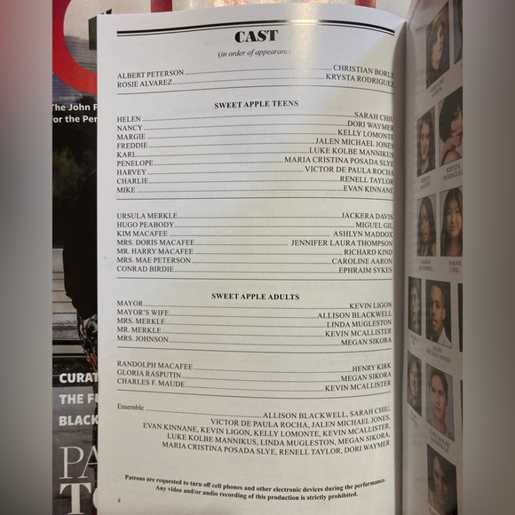 2024 Bye Bye Birdie Kennedy Center - Picture 5 of 5